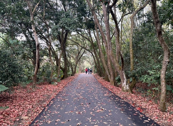 松柏嶺步道開放時間