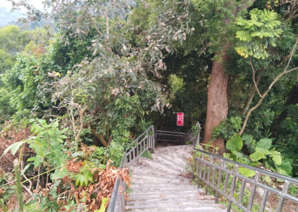 松柏嶺步道徒步時間