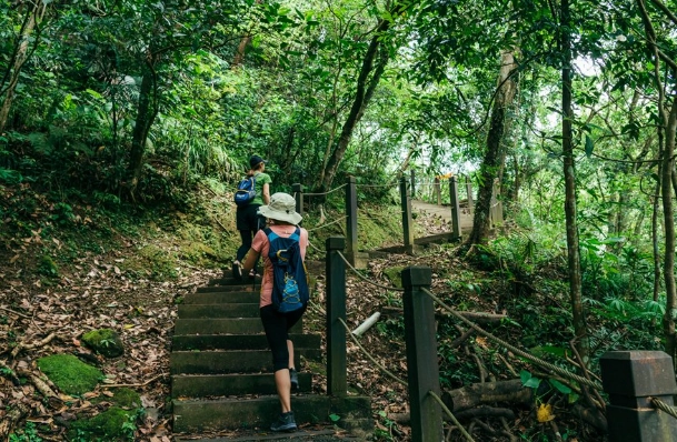 嶺腳步道攻略