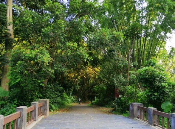 二水松柏嶺旅遊