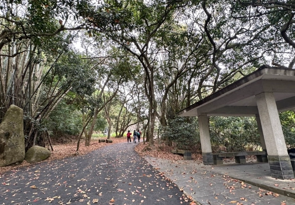 松柏嶺步道交通