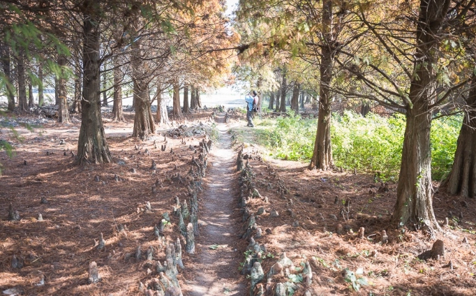 彰化爬山景點秘境