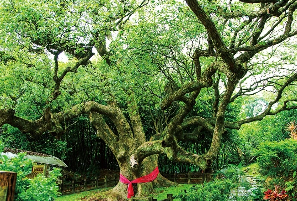 小楊梅溪旅遊 小楊梅溪旅遊