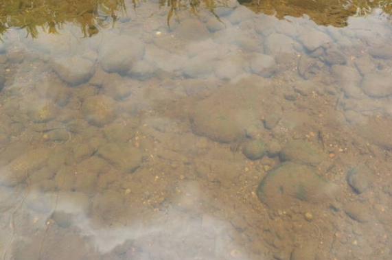 小楊梅溪交通 小楊梅溪交通