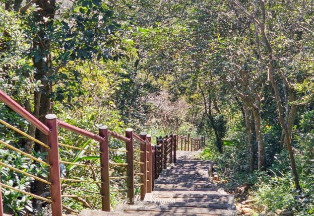秀才步道健走 秀才步道健走