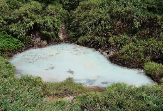 擎天崗到冷水坑時間