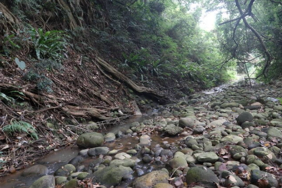 小楊梅溪旅遊 小楊梅溪旅遊