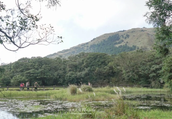 冷水坑擎天崗交通