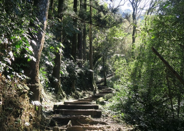 大凍山登山路線