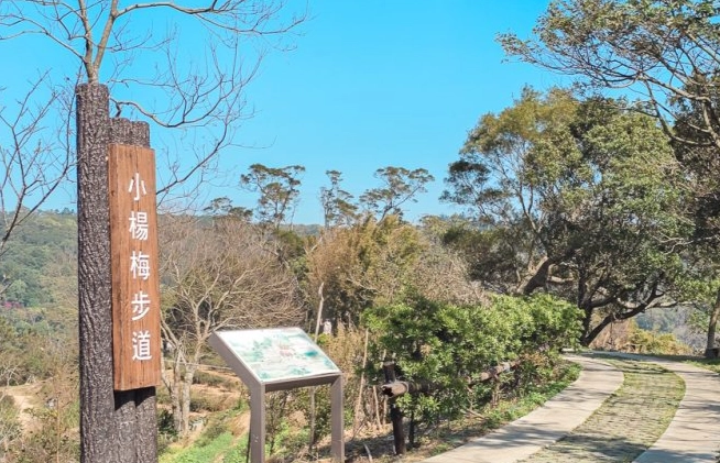 楊梅健行步道 楊梅健行步道