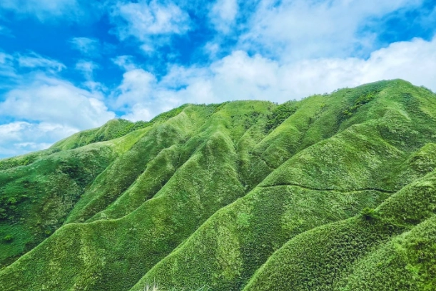 抹茶山高度 抹茶山高度