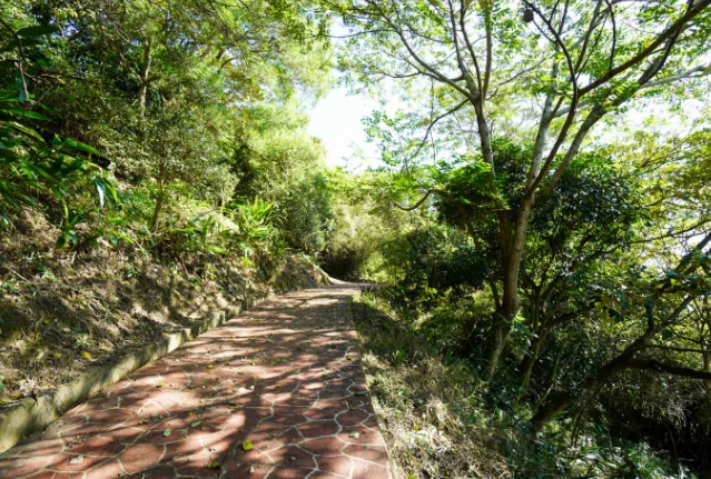 秀才步道大眾運輸