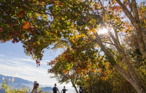馬拉邦山賞楓路線