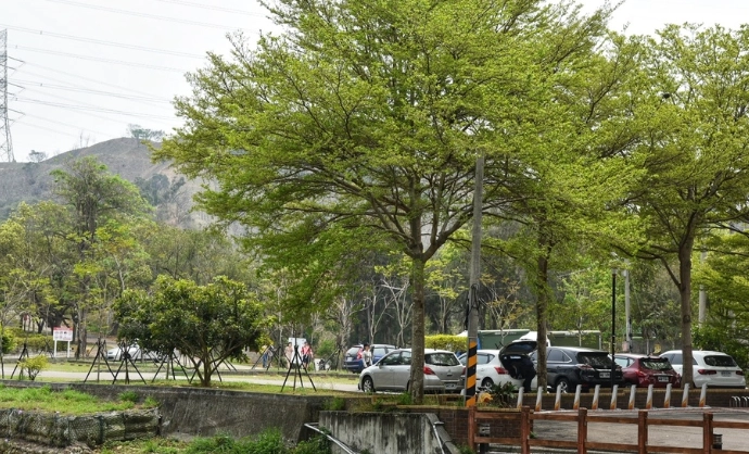 台中親子步道 台中親子步道