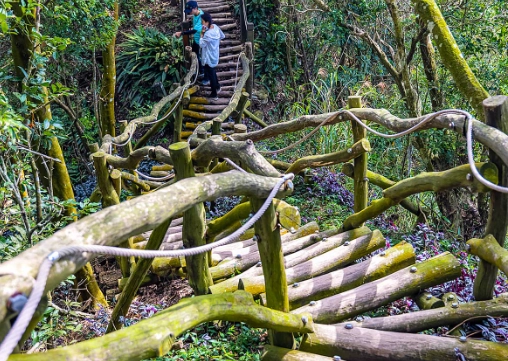台中輕鬆步道 台中輕鬆步道