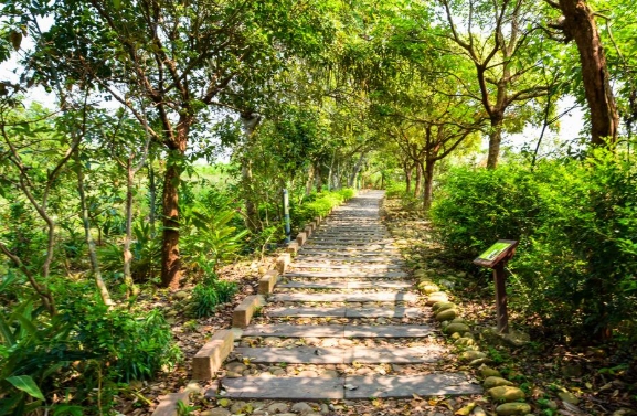 台中爬山步道 台中爬山步道