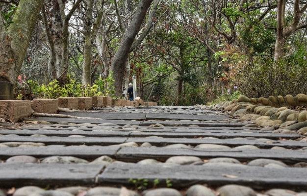 台中親子步道 台中親子步道
