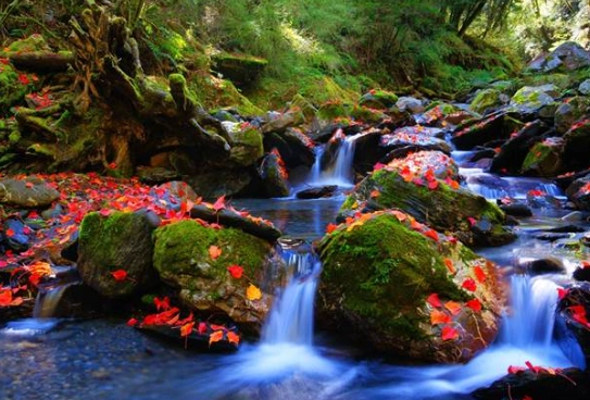 台灣旅遊景點 台灣旅遊景點