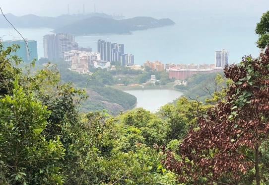 香港行山路徑 香港行山路徑