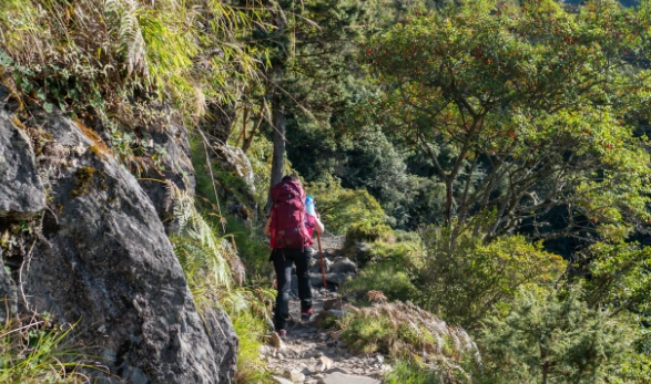 百岳入門路線 百岳入門路線
