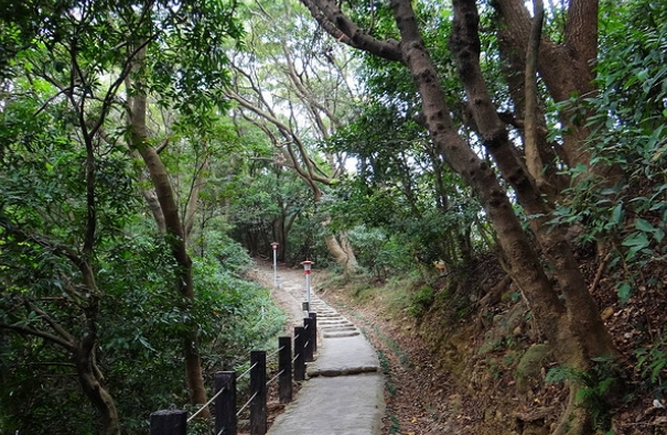 新北登山步道 新北登山步道