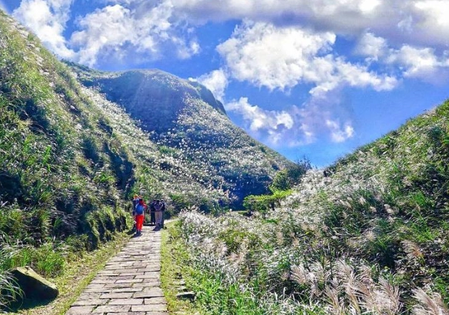 新北步道推薦