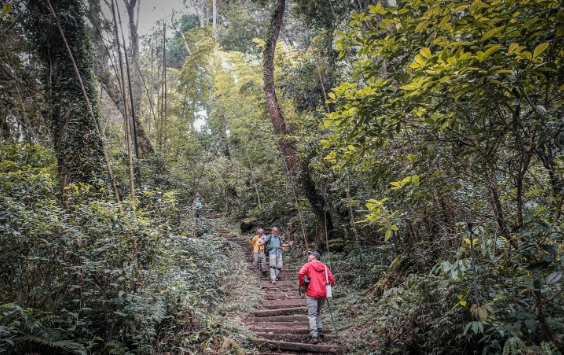 大棟山風景 大棟山風景
