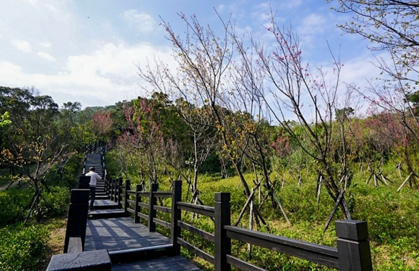 大同山登山步道