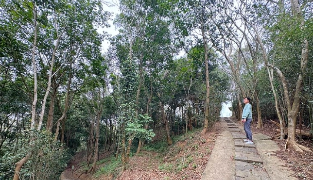 台灣登山步道推薦 台灣登山步道推薦