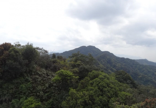 筆架山步道危險 筆架山步道危險