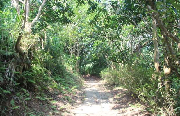 新北登山步道 新北登山步道
