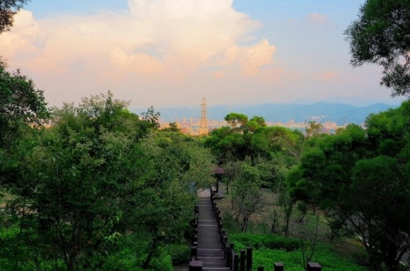 嘉義大棟山步道 嘉義大棟山步道
