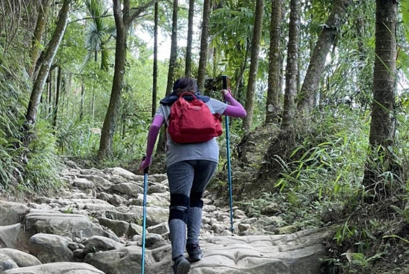 嘉義大棟山登山 嘉義大棟山登山