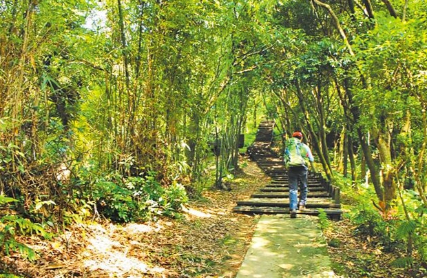 大同山登山步道