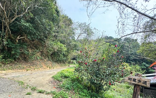 台灣登山步道推薦 台灣登山步道推薦