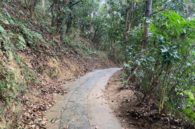 新北登山步道 新北登山步道
