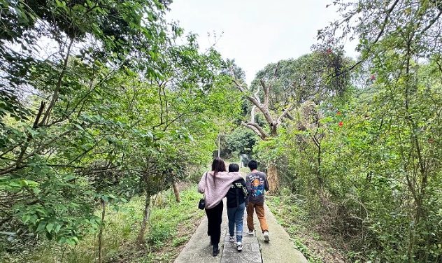台灣登山步道推薦 台灣登山步道推薦