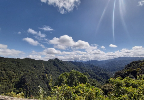筆架山登山安全 筆架山登山安全