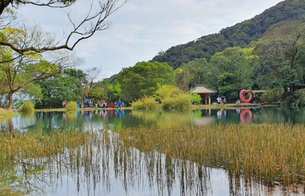 夢湖螢火蟲季節 夢湖螢火蟲季節