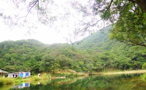 新山賞螢攻略 新山賞螢攻略