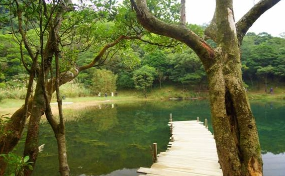 新山賞螢攻略 新山賞螢攻略