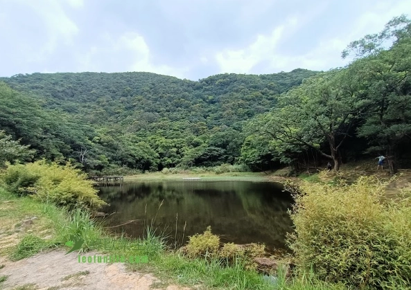 新山夢湖登山步道