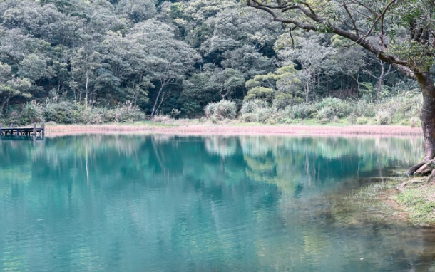 夢湖螢火蟲季節 夢湖螢火蟲季節