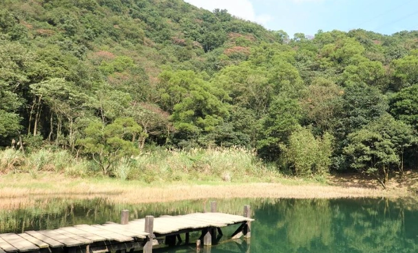 新山夢湖步道難度 新山夢湖步道難度