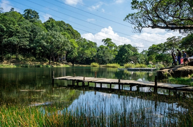 新山賞螢攻略 新山賞螢攻略