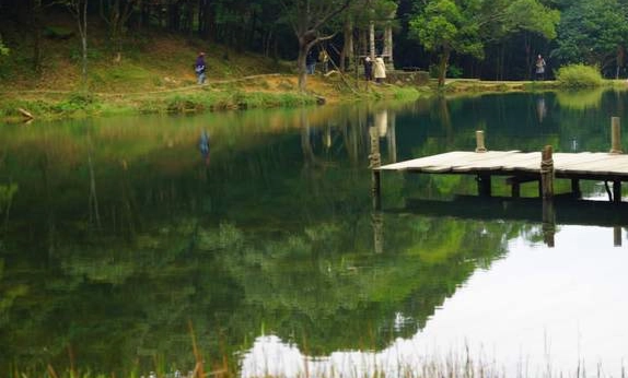 夢湖螢火蟲季節 夢湖螢火蟲季節