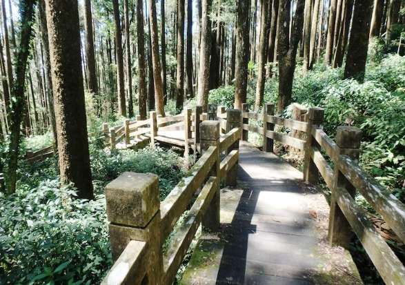大凍山登山 大凍山登山