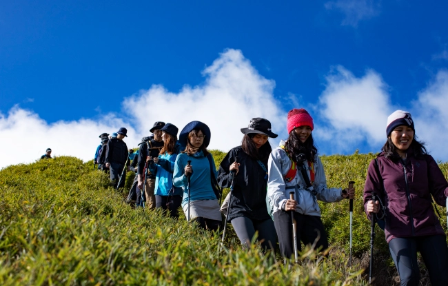登山杖使用技巧 登山杖使用技巧