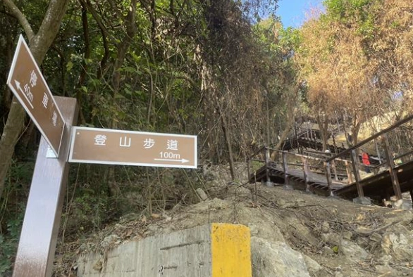 柴山登山步道 柴山登山步道