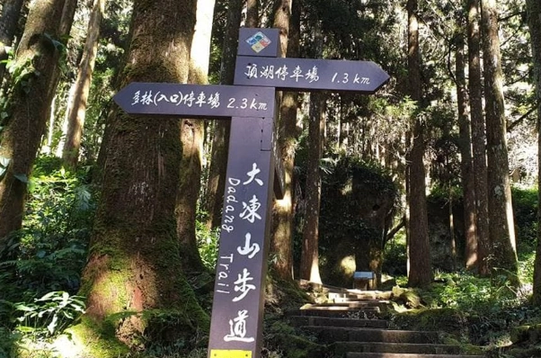 大凍山登山 大凍山登山